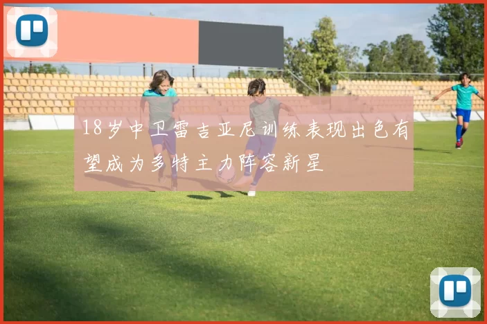 18岁中卫雷吉亚尼训练表现出色有望成为多特主力阵容新星